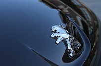 Divulgação O 508 foi um dos primeiros carros a receber o novo logo da Peugeot