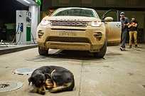 Land Rover Discovery Sport diesel