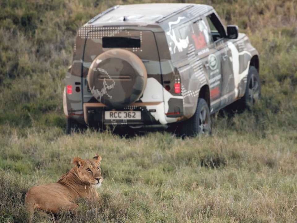 Land Rover�Defender 2020 - �ngulo traseiro