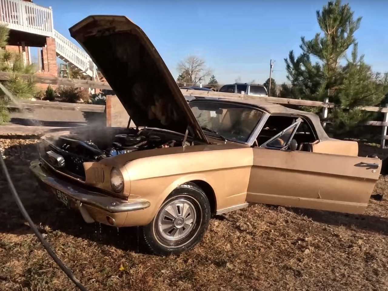 Ford Mustang 1966 foi deixado em um celeiro nos Estados Unidos, mas até que resistiu bem ao tempo