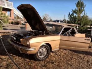 Mustang 66 esquecido em garagem é lavado depois de 44 anos