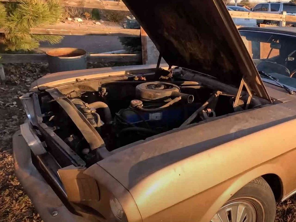 Ford�Mustang 1970 - �ngulo frontal