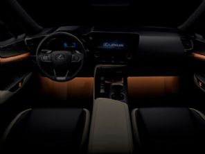 NX