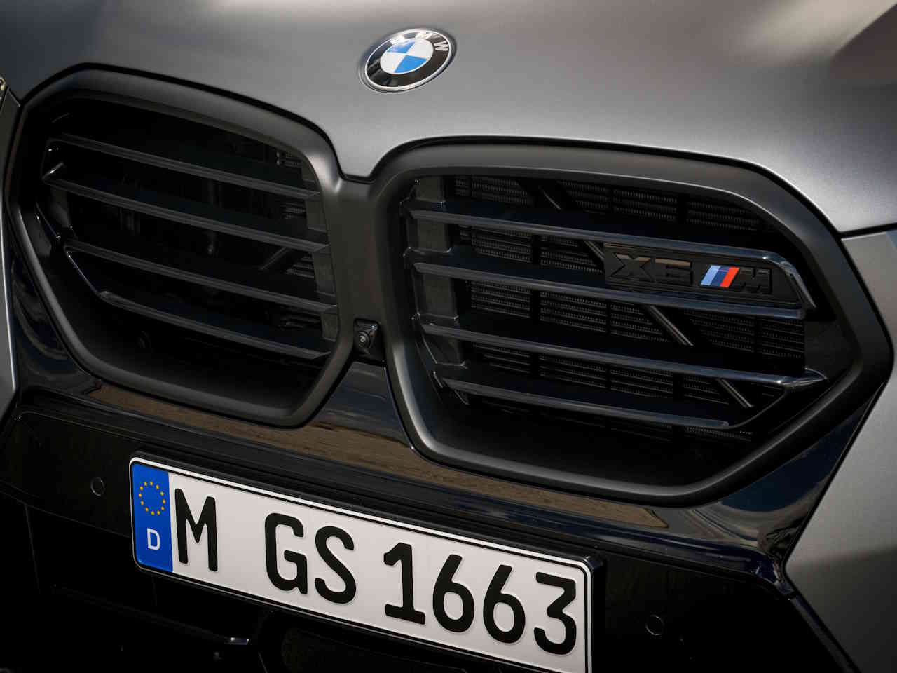 BMWX6 2024 - grade frontal