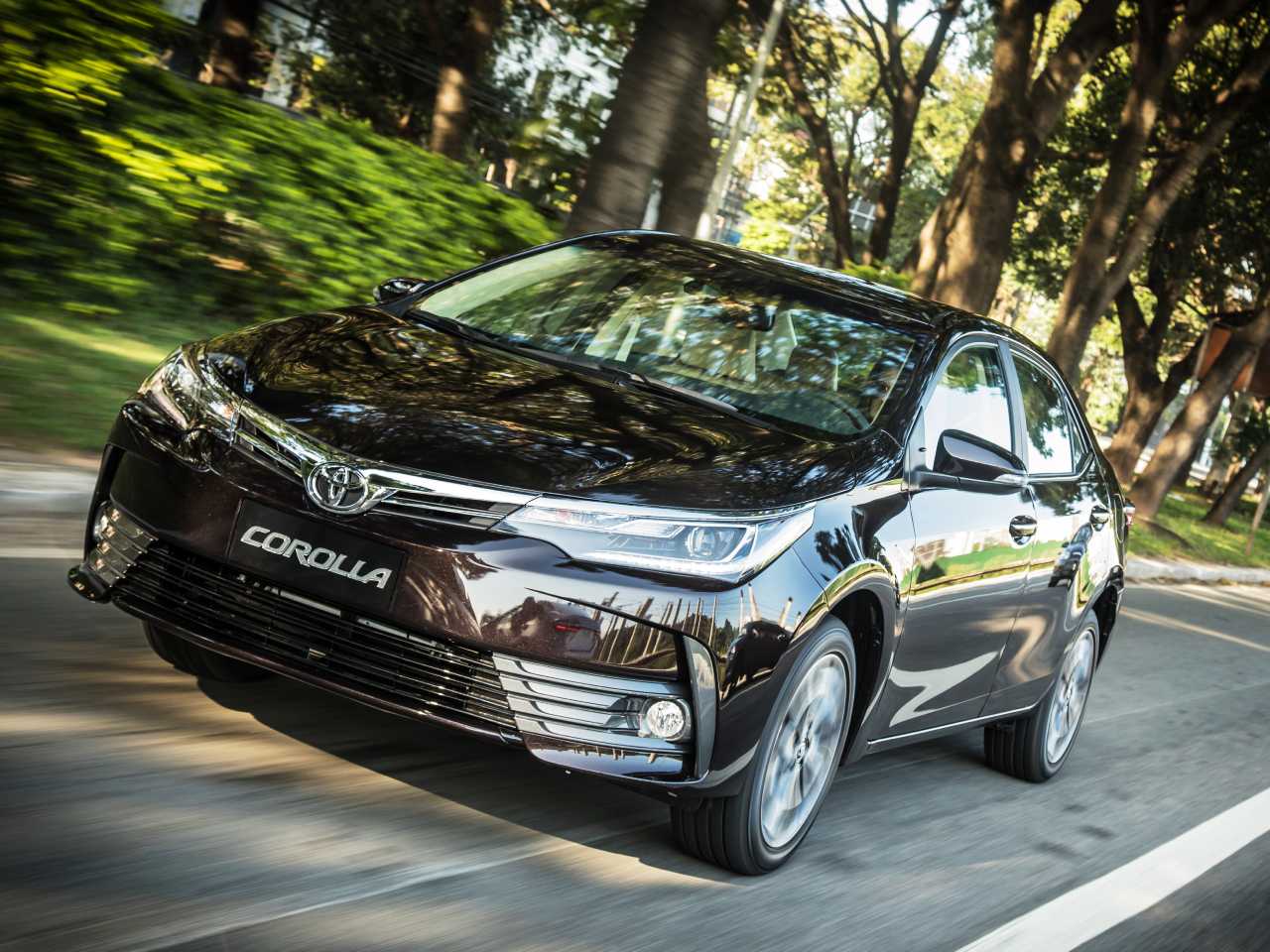 Toyota Corolla Toyota Corolla