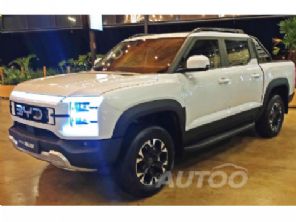 BYD�Shark