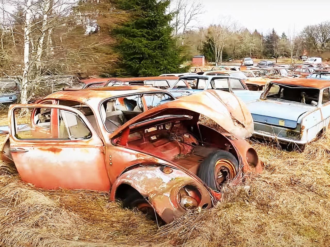 Terreno na Sucia conta com mais de 1.000 carros abandonados e dono da rea oferece visita guiada