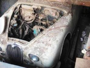 Jaguar fica mais de 40 anos escondido em subsolo de loja abandonada