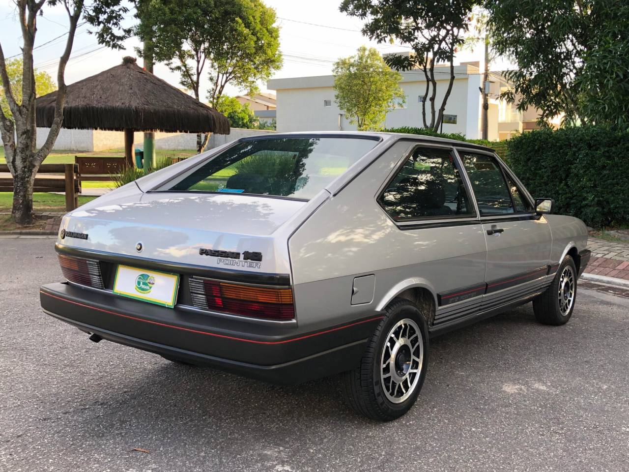 VW Passat GTS Pointer