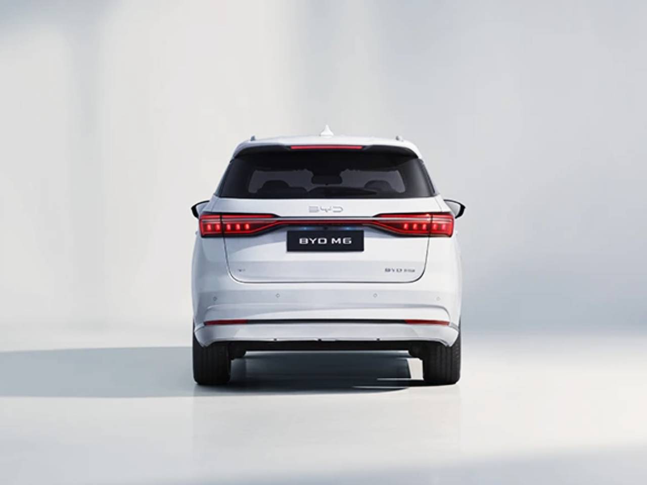 BYD M6