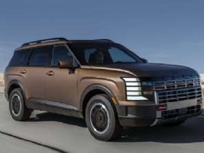Hyundai�Palisade