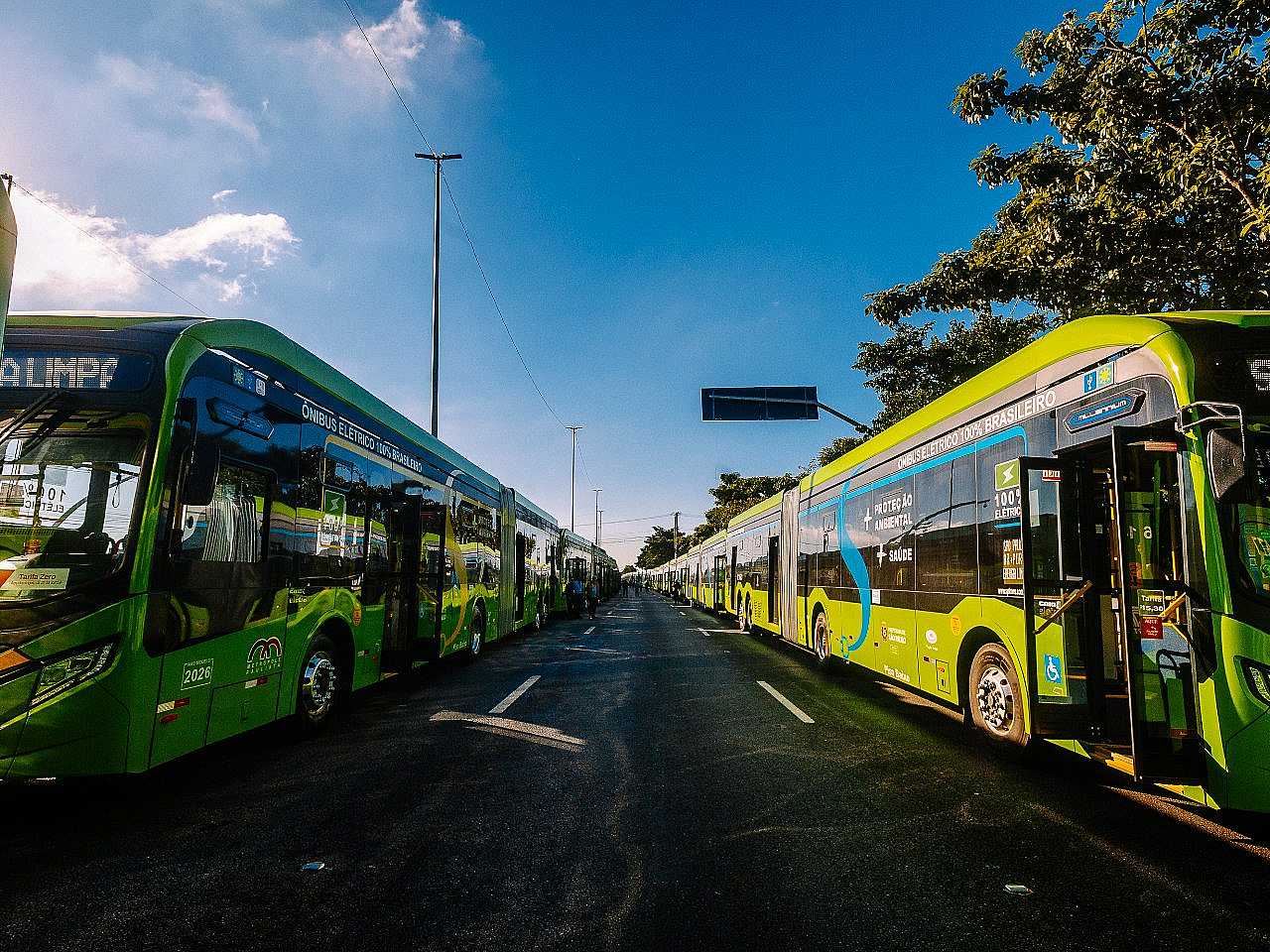 ?"nibus elétricos de São Paulo ?"nibus elétricos de São Paulo